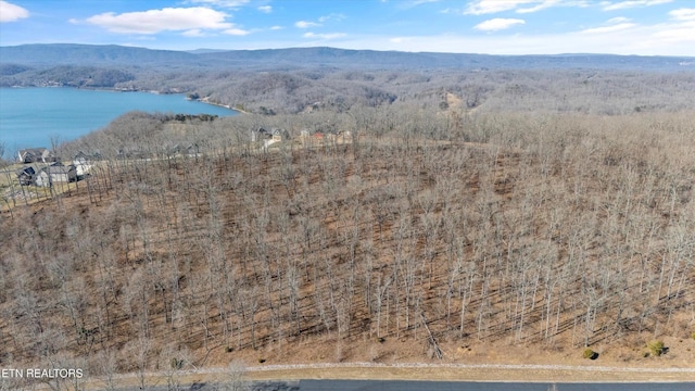 0 Grand Vista Dr, Rockwood, TN 37854 - photo 5