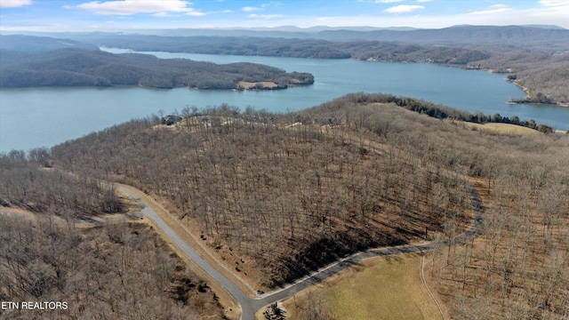 0 Grand Vista Dr, Rockwood, TN 37854 - photo 4