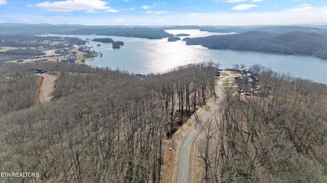 0 Grand Vista Dr, Rockwood, TN 37854 - photo 8