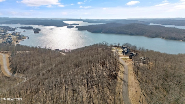 0 Grand Vista Dr, Rockwood, TN 37854 - photo 7