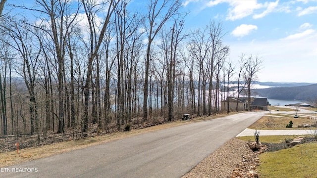 0 Grand Vista Dr, Rockwood, TN 37854 - photo 17