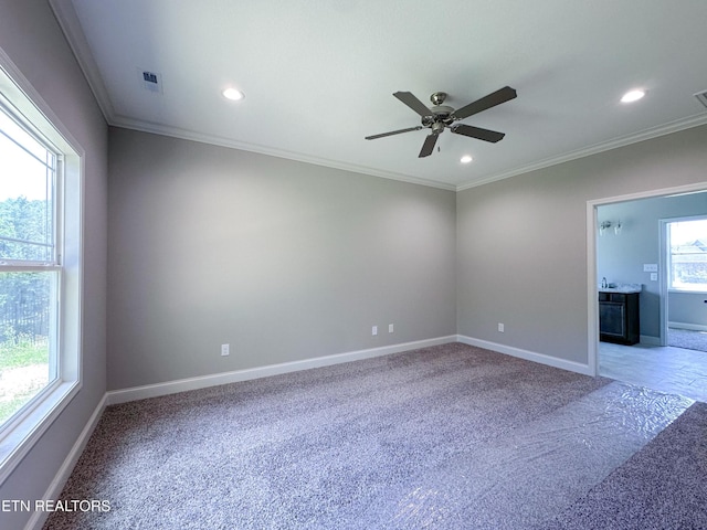 12608 Izzy Mule Ln, Knoxville, TN 37932 - photo 12