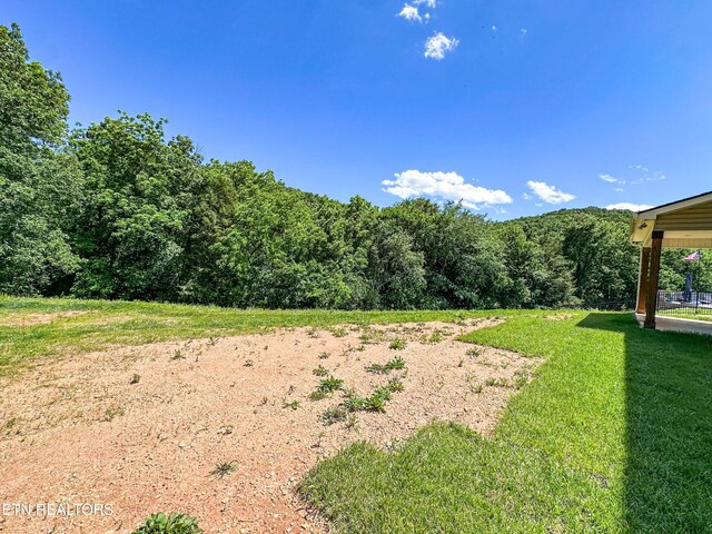 12608 Izzy Mule Ln, Knoxville, TN 37932 - photo 6