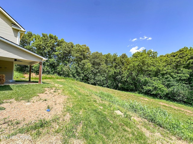 12608 Izzy Mule Ln, Knoxville, TN 37932 - photo 4