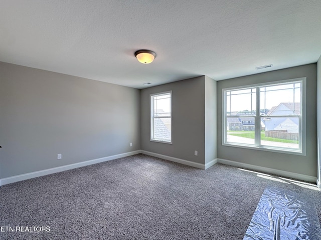 12608 Izzy Mule Ln, Knoxville, TN 37932 - photo 21