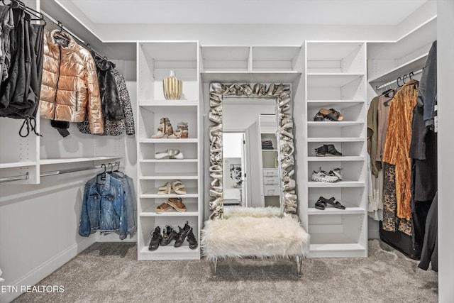 9327 Paradise Valley Ln, Knoxville, TN 37922 - walk in closet with carpet floors