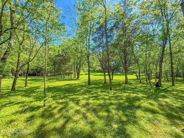 12715 Union Rd, Knoxville, TN 37934 - photo 8