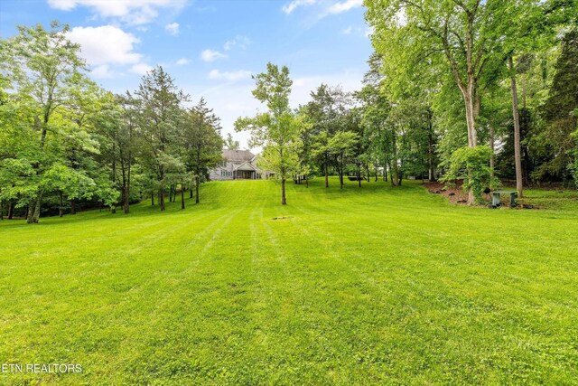 12715 Union Rd, Knoxville, TN 37934 - photo 12