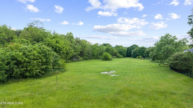 12715 Union Rd, Knoxville, TN 37934 - photo 9