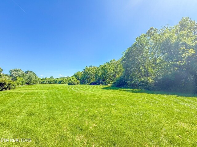 12715 Union Rd, Knoxville, TN 37934 - photo 7
