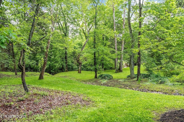 12715 Union Rd, Knoxville, TN 37934 - photo 15