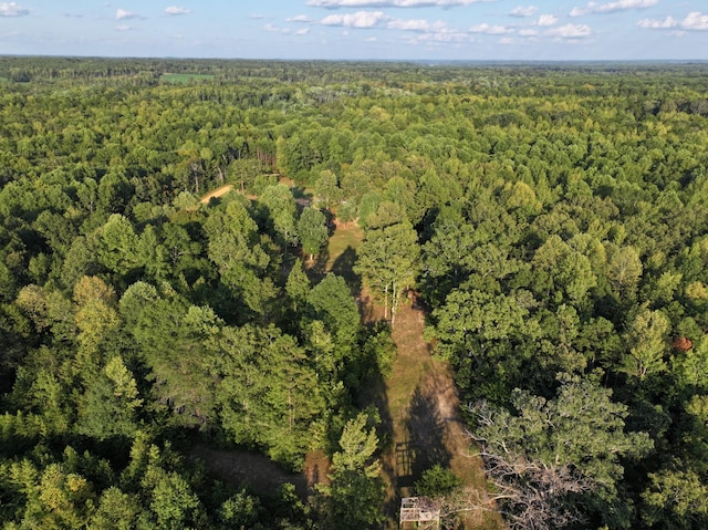 505 Winding Way, Saltillo, TN 38370 - photo 4