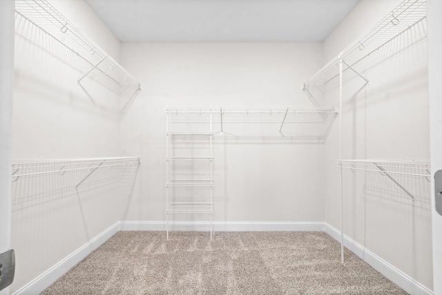 1002 Cherry Acres, Clarksville, TN 37042 - spacious closet with carpet flooring