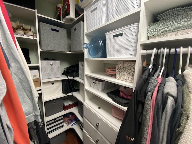 380 Station Dr, Waverly, TN 37185 - view of walk in closet