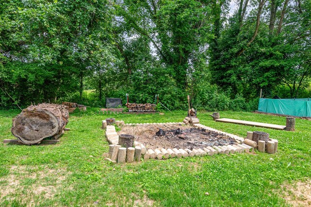 107 Ben Albert Rd, Cottontown, TN 37048 - photo 30