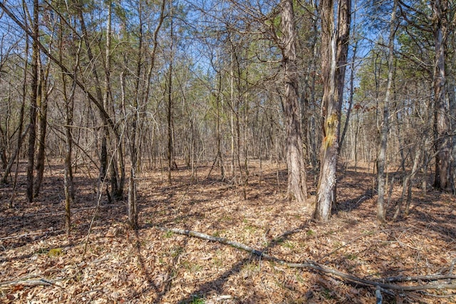0 Sharp Ln, Columbia, TN 38401