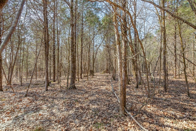 0 Sharp Ln, Columbia, TN 38401