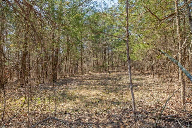 0 Sharp Ln, Columbia, TN 38401