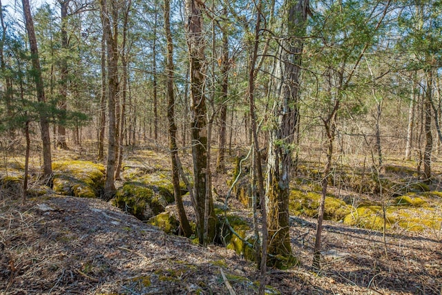 0 Sharp Ln, Columbia, TN 38401