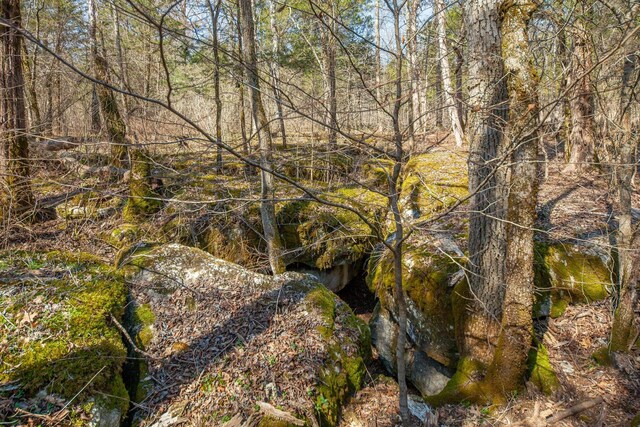0 Sharp Ln, Columbia, TN 38401