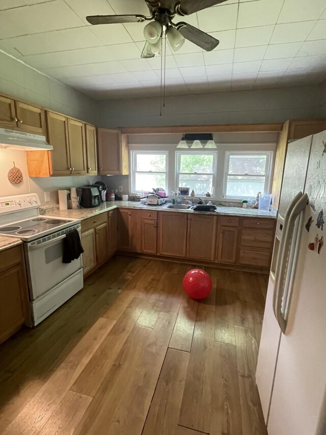 2034 Tennessee St, Westpoint, TN 38486 - kitchen featuring white appliances, under cabinet range hood, hardwood / wood-style flooring, and light countertops