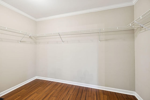 2408 Cantor Way, Spring Hill, TN 37174 - spacious closet featuring wood finished floors