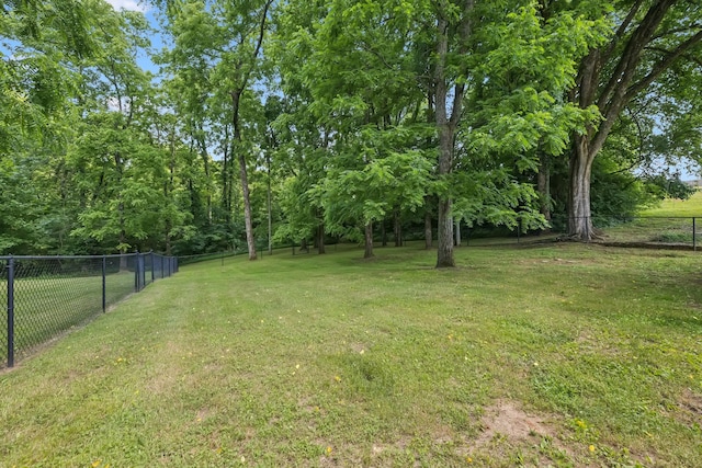 2408 Cantor Way, Spring Hill, TN 37174 - view of yard