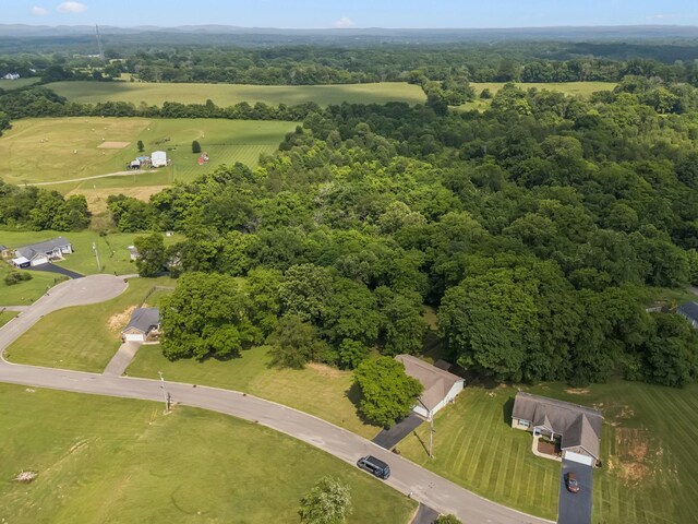 2408 Cantor Way, Spring Hill, TN 37174 - aerial view of property's location