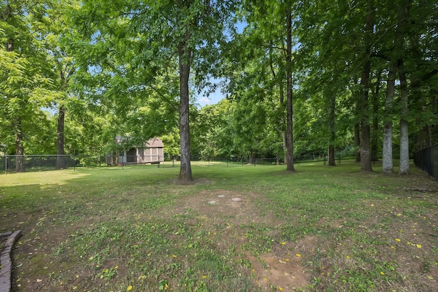 2408 Cantor Way, Spring Hill, TN 37174 - view of yard