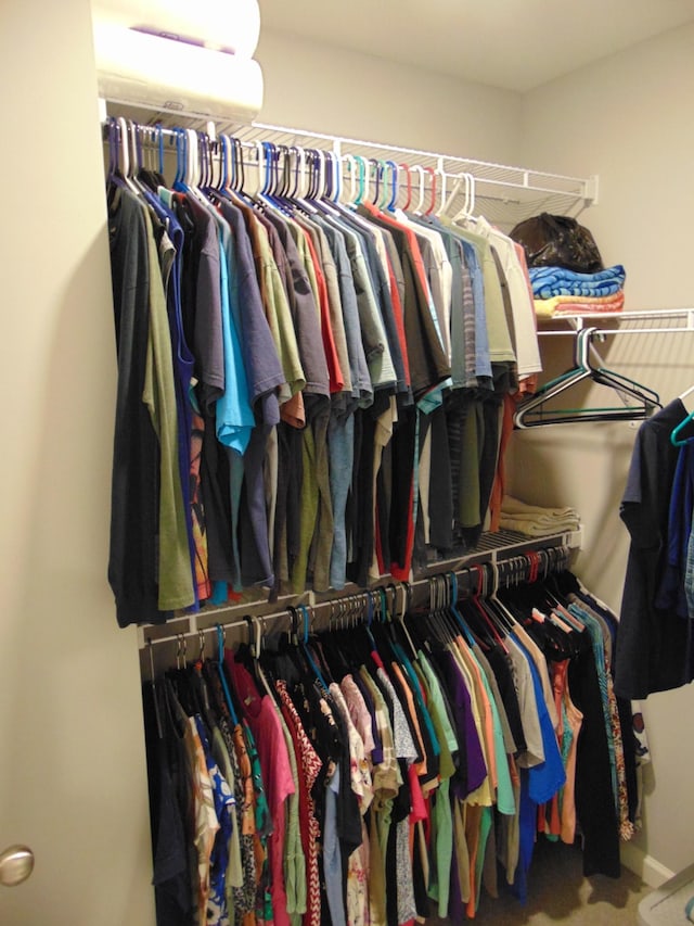1920 Alysheba Run, Murfreesboro, TN 37128 - walk in closet featuring carpet floors