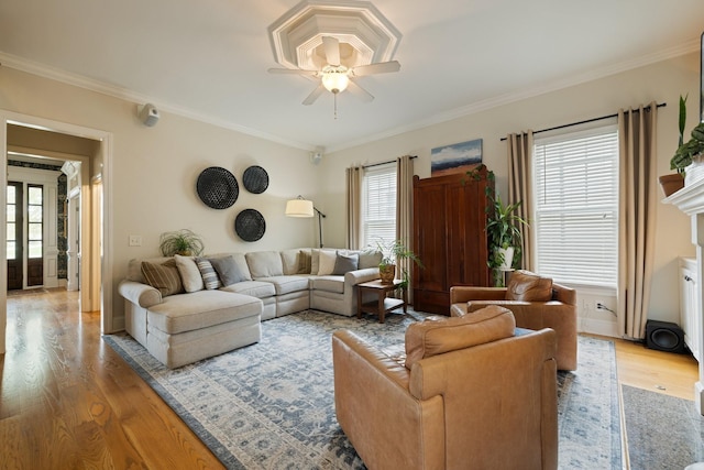 3448 Colebrook Dr, Thompsons Station, TN 37179 - living area featuring light wood-type flooring, ceiling fan, healthy amount of natural light, and ornamental molding