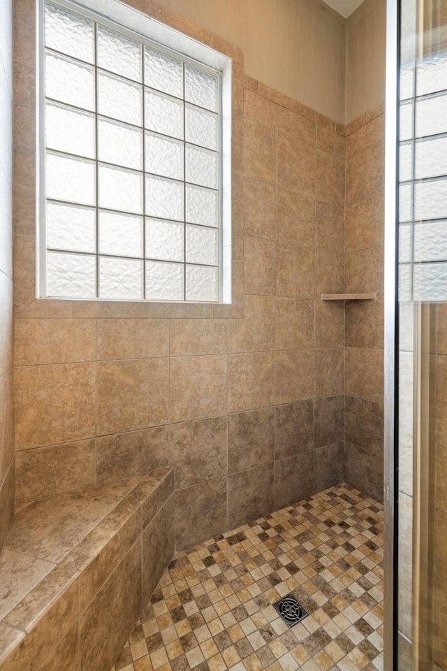 3448 Colebrook Dr, Thompsons Station, TN 37179 - bathroom with a tile shower and healthy amount of natural light