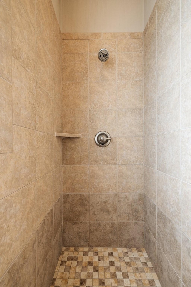 3448 Colebrook Dr, Thompsons Station, TN 37179 - bathroom with tiled shower