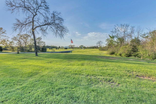 7928 Lascassas Pike, Lascassas, TN 37085 - photo 10