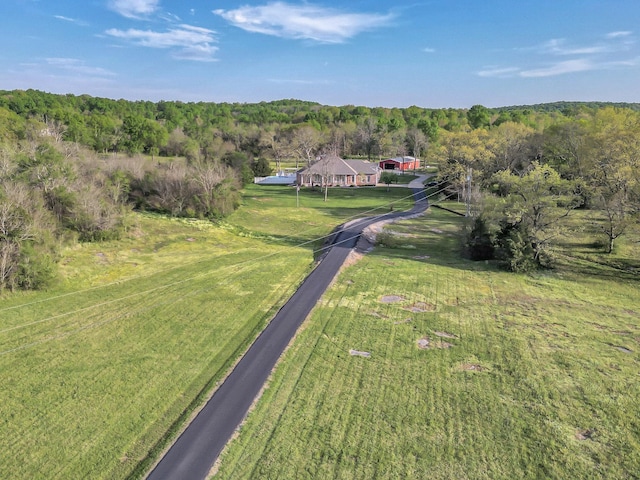 7928 Lascassas Pike, Lascassas, TN 37085 - photo 61