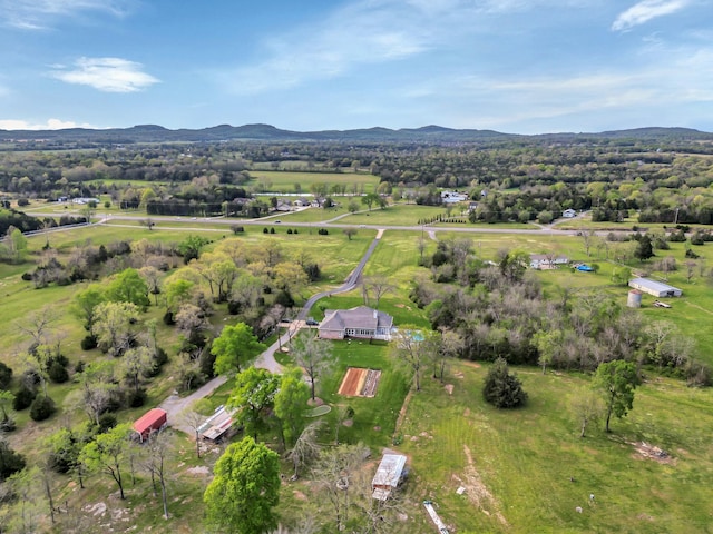 7928 Lascassas Pike, Lascassas, TN 37085 - photo 70