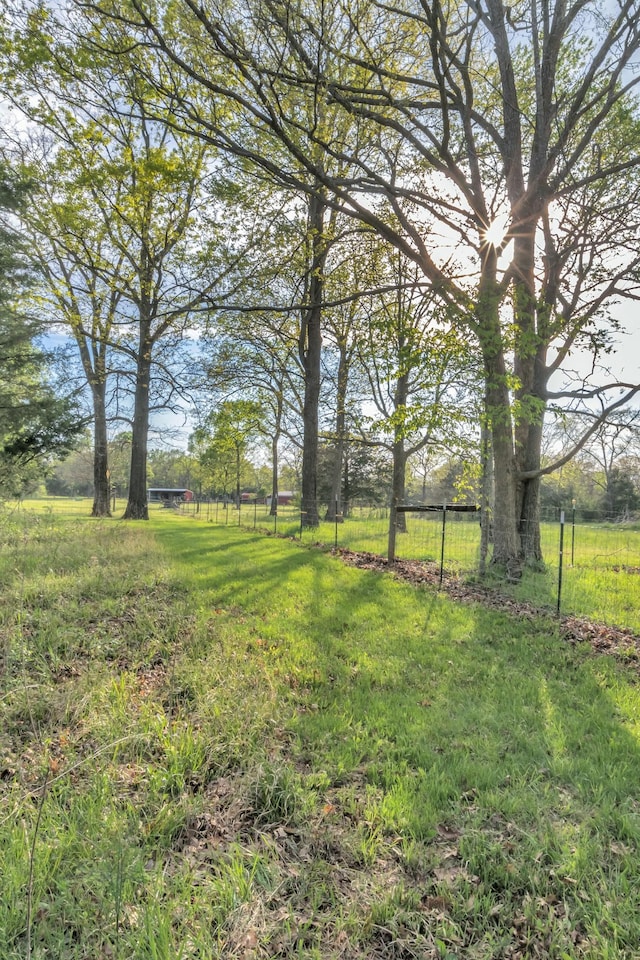 7928 Lascassas Pike, Lascassas, TN 37085 - photo 58