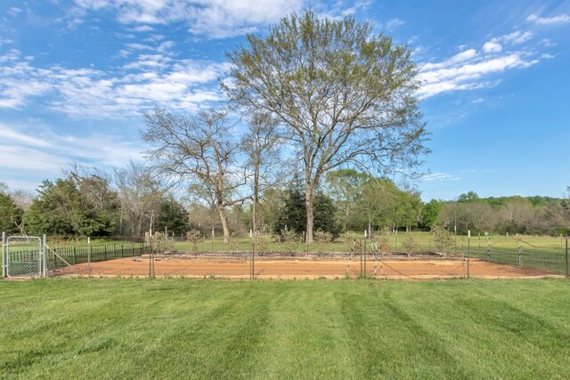 7928 Lascassas Pike, Lascassas, TN 37085 - photo 56