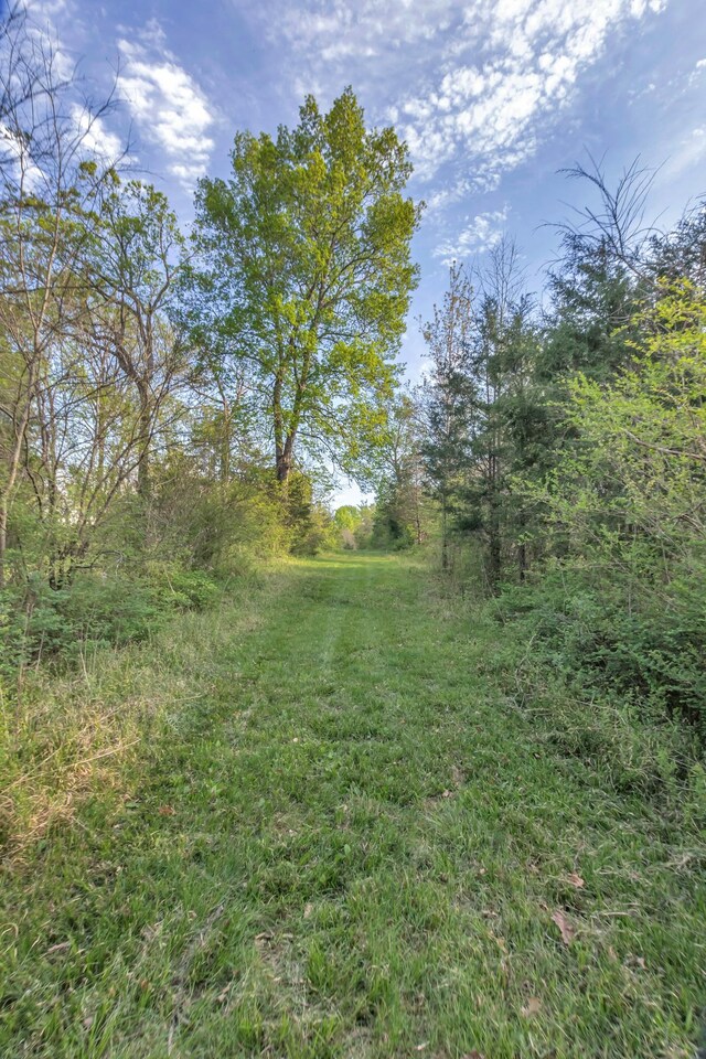 7928 Lascassas Pike, Lascassas, TN 37085 - photo 60