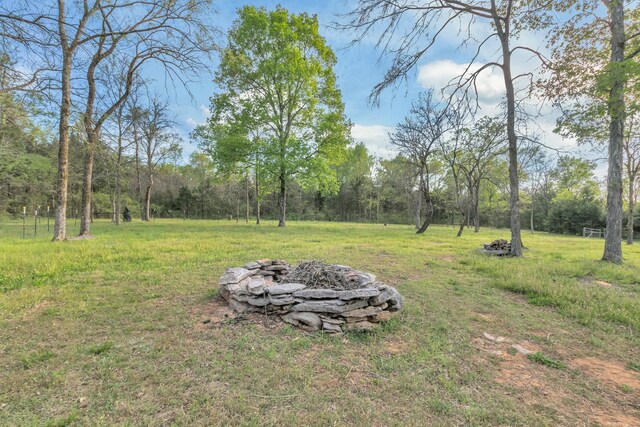 7928 Lascassas Pike, Lascassas, TN 37085 - photo 55