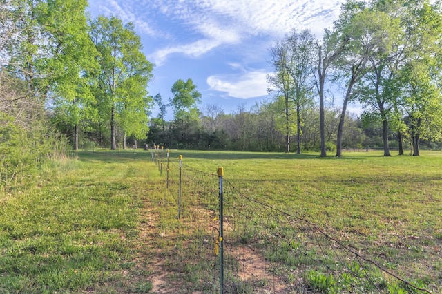 7928 Lascassas Pike, Lascassas, TN 37085 - photo 59