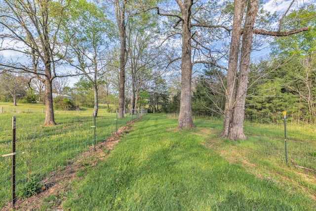7928 Lascassas Pike, Lascassas, TN 37085 - photo 57