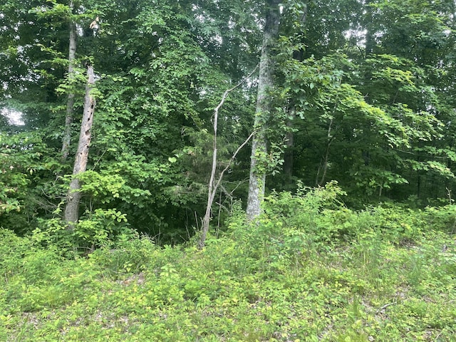 0 Simmons Rd, Ashland City, TN 37015