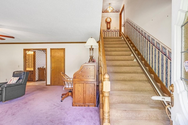 220 Winton Way Rd, Manchester, TN 37355 - stairs with carpet floors, a ceiling fan, ornamental molding, and a textured ceiling