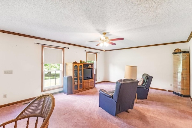 220 Winton Way Rd, Manchester, TN 37355 - carpeted living area with ceiling fan, ornamental molding, baseboards, and a textured ceiling