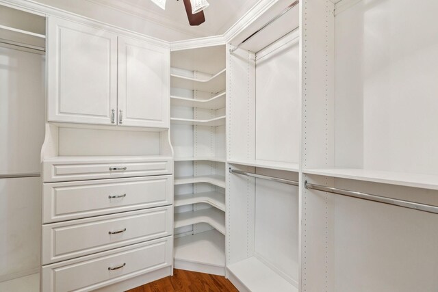204 Magnolia Glen Ct, Manchester, TN 37355 - spacious closet with wood finished floors