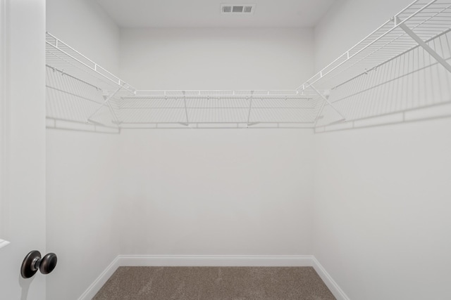2206 Melk Ln, Columbia, TN 38401 - spacious closet with carpet floors
