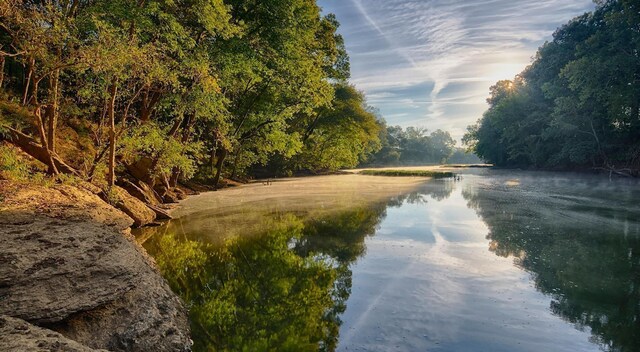 2206 Melk Ln, Columbia, TN 38401 - water view featuring a forest