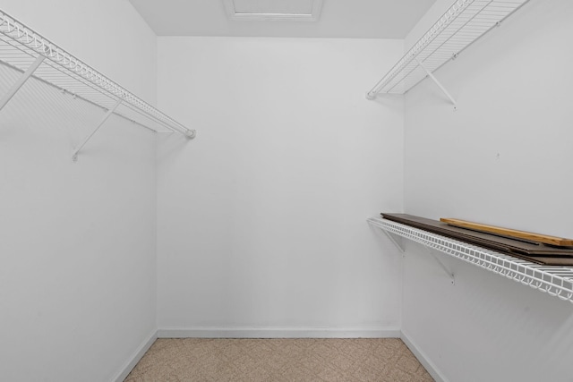 3609 Chunn Valley Dr, Spring Hill, TN 37174 - spacious closet featuring light colored carpet