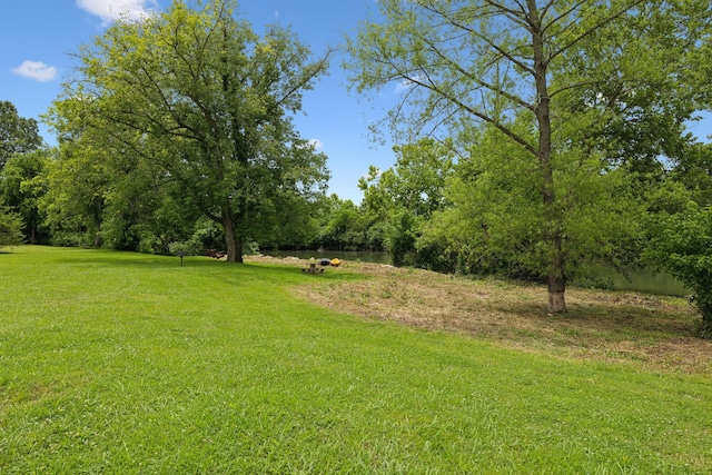 1926 Cliffview Ct, Murfreesboro, TN 37128 - view of grassy yard